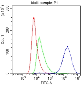 a00248 1 cd147 primary antibodies fc testing 5