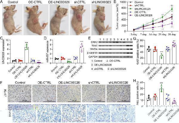 a00254 13062_2023_359_fig8_html