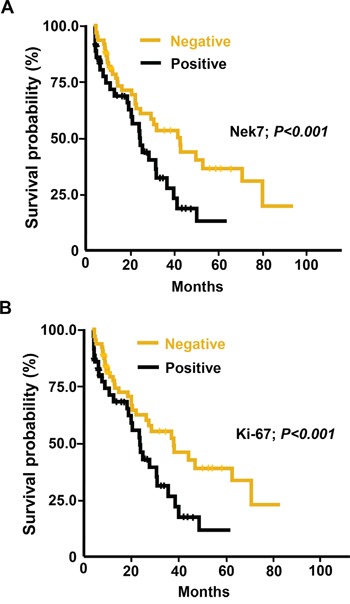 a00254 oncotarget 07 18620 g003