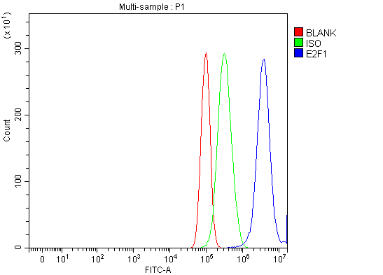 a00257 2 e2f1 primary antibodies fcm testing 2
