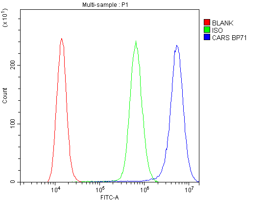 a00259 1 cars primary antibodies fc testing 3