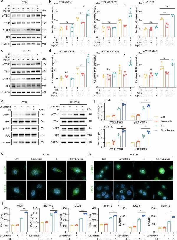 Cholesterol impairs radiotherapy-induced cGAS–STING activation and lovastatin rescues this activation in vitro