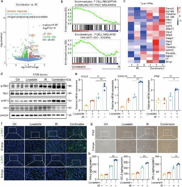 HMGCR inhibition combined with radiotherapy significantly activates the cGAS–STING pathway