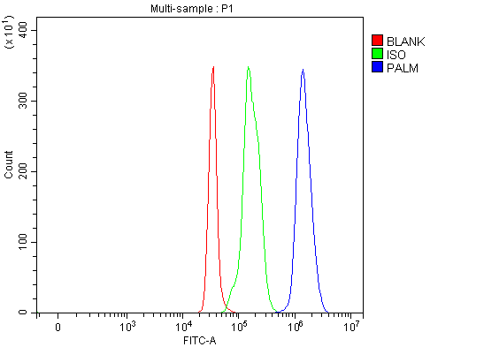 a00265 1 palm primary antibodies fcm testing 7