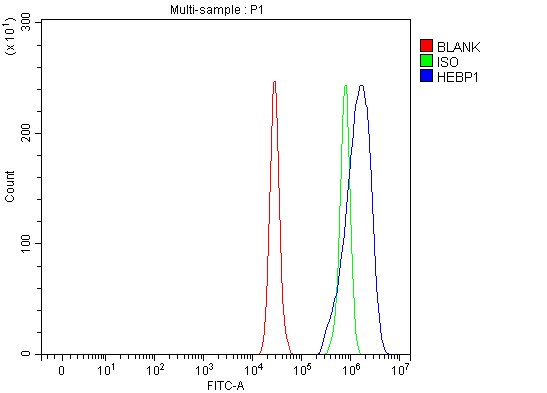 a00271 1 hebp1 primary antibodies fcm testing 5