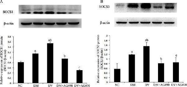 a00274 2 oncotarget 08 96958 g006