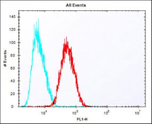 Overlay histogram showing HepG2 cells stained with A00276 (red line). The cells were fixed with 2% paraformaldehyde (10 min) and then permeabilized with 90% methanol for 10 min. The cells were then icubated in 2% bovine serum albumin to block non-specific protein-protein interactions followed by the antibody (A00276, 1:25 dilution) for 60 min at 37C. The secondary antibody used was Alexa Fluor® 488 goat anti-rabbit lgG (H+L) at 1/400 dilution for 40 min at 37C. Isotype control antibody (blue line) was rabbit IgG1 (1microg/1x10^6 cells) used under the same conditions. Acquisition of >10, 000 events was performed.