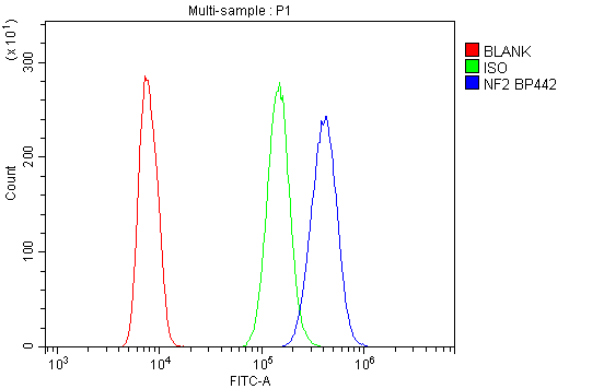a00279 2 nf2 primary antibodies fc testing 8