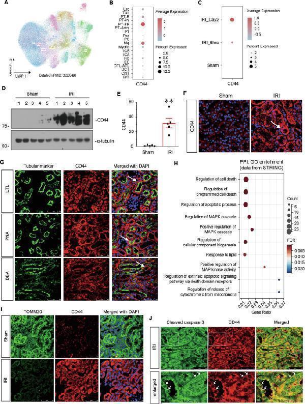 a00284 1 41419_2025_7438_fig1_html