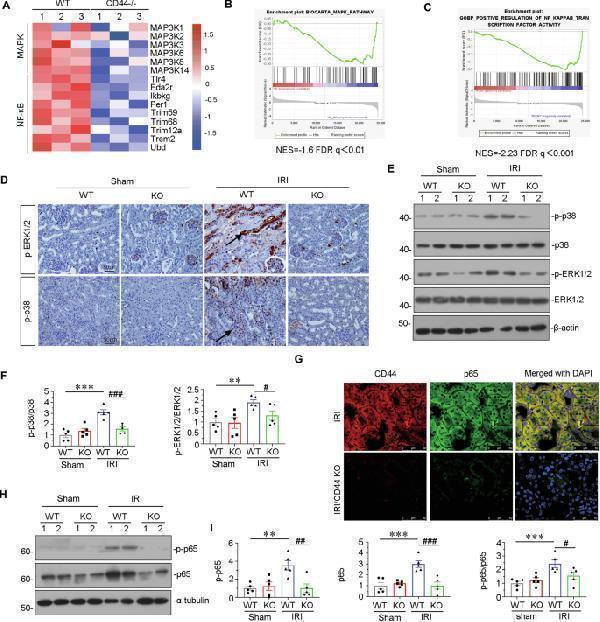 a00284 1 41419_2025_7438_fig4_html