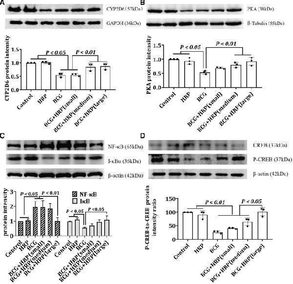 a00284 1 41598_2023_44590_fig6_html