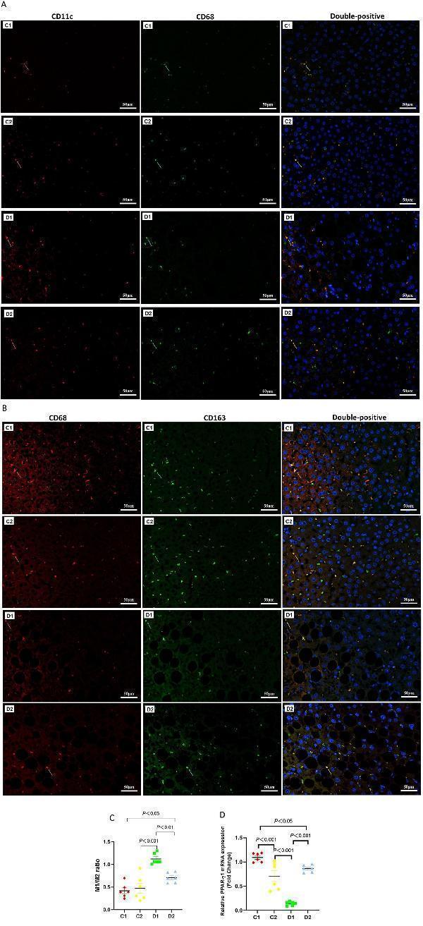 a00284 1 fnut 12 1562509 g005