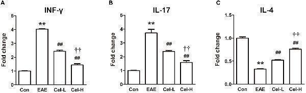 a00284 1 fphar 08 00044 g004