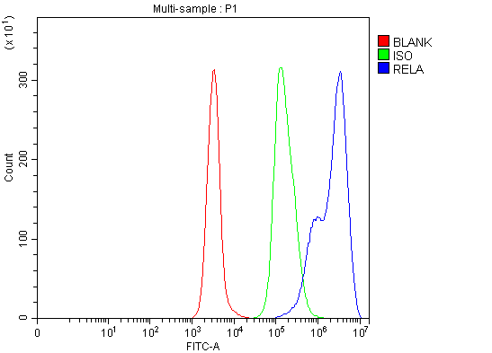  Flow Cytometry analysis of Daudi cells using anti-NF-ΚB P6/RELA antibody (A00284-4)