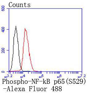 a00284s529 1 rela primary antiboties fcm testing 1