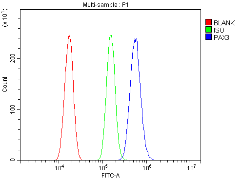 a00285 1 pax3 primary antibodies fcm testing 2
