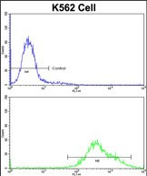 Flow cytometric analysis of K562 cells using PAX3 Antibody (N-term) (bottom histogram) compared to a negative control cell (top histogram)FITC-conjugated goat-anti-rabbit secondary antibodies were used for the analysis.