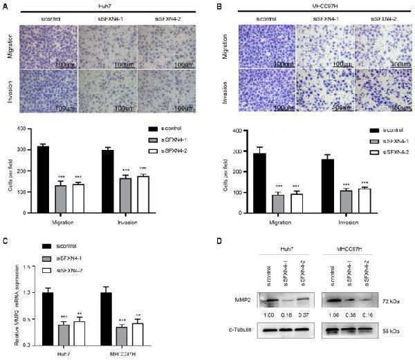 a00286 2 ijmsv20p1300g009