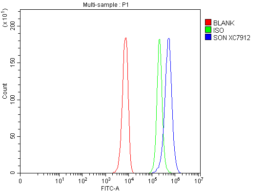 a00288 1 son primary antibodies fcm testing 1