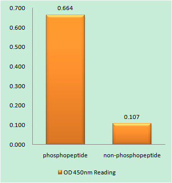 a00297s374 fos primary antibodies elisa testing 1