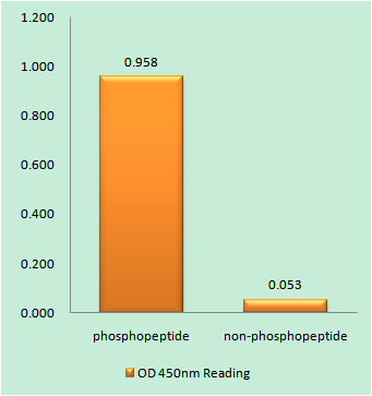 a00301y1096 1 alk primary antibodies elisa testing 1