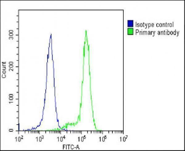 a00306 anti ifnar1 antibody center fc testing 4