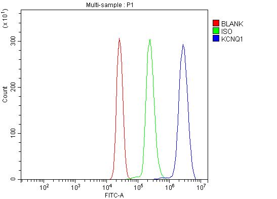 a00310 1 kcnq1 primary antibodies fcm testing 7_1