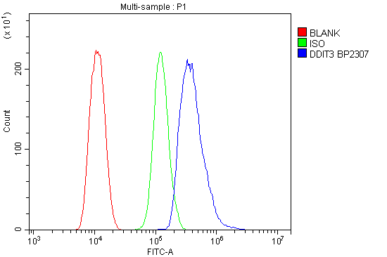 a00311 2 ddit3 primary antibodies fc testing 5_1