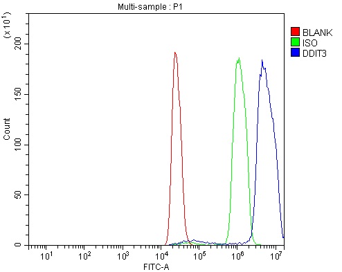 a00311 4 ddit3 primary antibodies fcm testing 2
