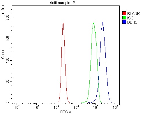 a00311 4 ddit3 primary antibodies fcm testing 3