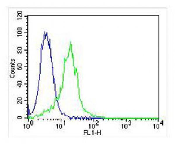 a00316 1 anti lpl antibody center fc testing 4