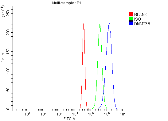  Flow Cytometry analysis of SiHa cells using anti-DNMT3B antibody (A00319-2)