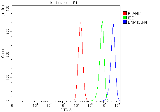  Flow Cytometry analysis of Caco-2 cells using anti-DNMT3B antibody (A00319-3)