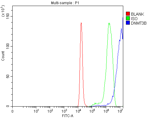  Flow Cytometry analysis of C6 cells using anti-DNMT3B antibody (A00319-5)