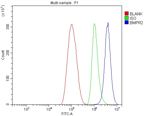 a00324 2 bmpr2 primary antibodies fcm testing 2