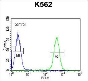 a00325 2 anti hdac2 antibody center fc testing 4