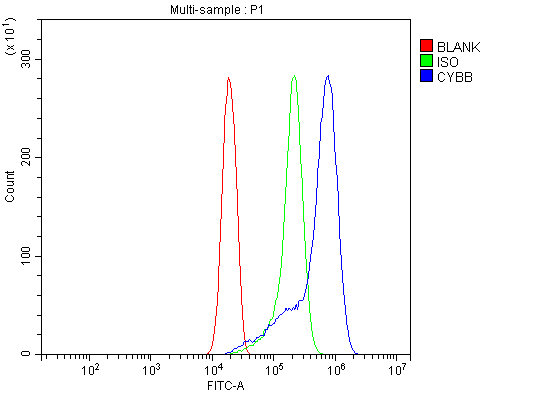 a00328 3 cybb primary antibodies fcm testing 8