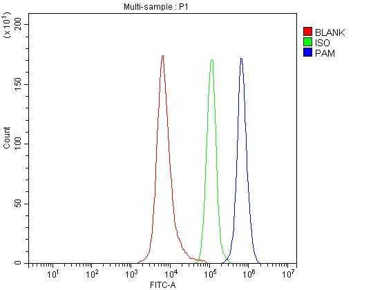 a00332 2 pam primary antibodies fcm testing 1
