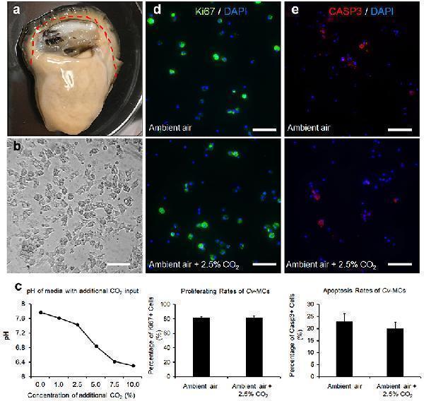 a00334 2 fmars 05 00203 g002