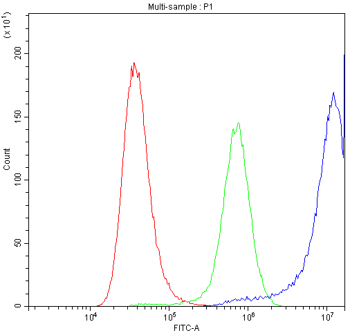 a00337 calpastatin primary antibodies fc testing 4