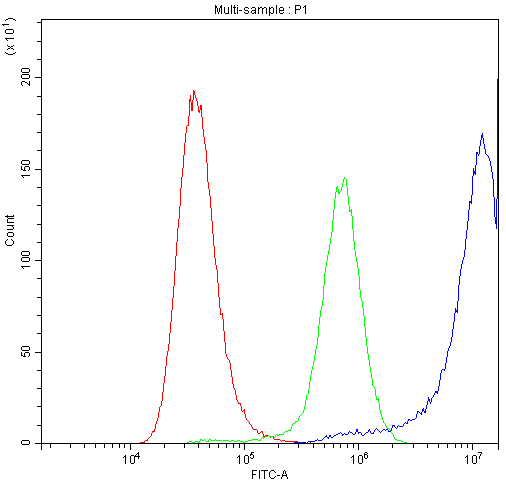Flow Cytometry analysis of A549 cells using anti-Calpastatin antibody (A00337). Overlay histogram showing A549 cells stained with A00337 (Blue line).The cells were blocked with 10% normal goat serum. And then incubated with rabbit anti-Calpastatin Antibody (A00337,1μg/1x106 cells) for 30 min at 20°C. DyLight®488 conjugated goat anti-rabbit IgG (BA1127, 5-10μg/1x106 cells) was used as secondary antibody for 30 minutes at 20°C. Isotype control antibody (Green line) was rabbit IgG (1μg/1x106) used under the same conditions. Unlabelled sample (Red line) was also used as a control.