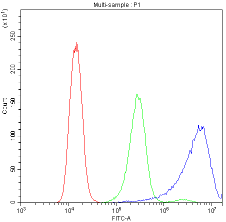 Flow Cytometry analysis of A431 cells using anti-Calpastatin antibody (A00337). Overlay histogram showing A431 cells stained with A00337 (Blue line).The cells were blocked with 10% normal goat serum. And then incubated with rabbit anti-Calpastatin Antibody (A00337,1μg/1x106 cells) for 30 min at 20°C. DyLight®488 conjugated goat anti-rabbit IgG (BA1127, 5-10μg/1x106 cells) was used as secondary antibody for 30 minutes at 20°C. Isotype control antibody (Green line) was rabbit IgG (1μg/1x106) used under the same conditions. Unlabelled sample (Red line) was also used as a control.