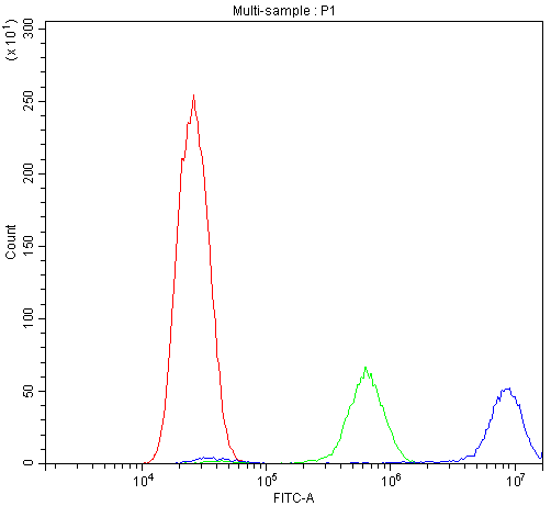 a00337 calpastatin primary antibodies fc testing 6