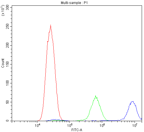 Flow Cytometry analysis of U20S cells using anti-Calpastatin antibody (A00337). Overlay histogram showing U20S cells stained with A00337 (Blue line).The cells were blocked with 10% normal goat serum. And then incubated with rabbit anti-Calpastatin Antibody (A00337,1μg/1x106 cells) for 30 min at 20°C. DyLight®488 conjugated goat anti-rabbit IgG (BA1127, 5-10μg/1x106 cells) was used as secondary antibody for 30 minutes at 20°C. Isotype control antibody (Green line) was rabbit IgG (1μg/1x106) used under the same conditions. Unlabelled sample (Red line) was also used as a control.