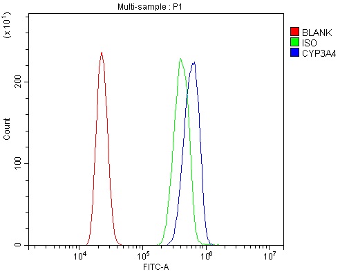 a00339 2 cyp3a4 primary antibodies fcm testing 2