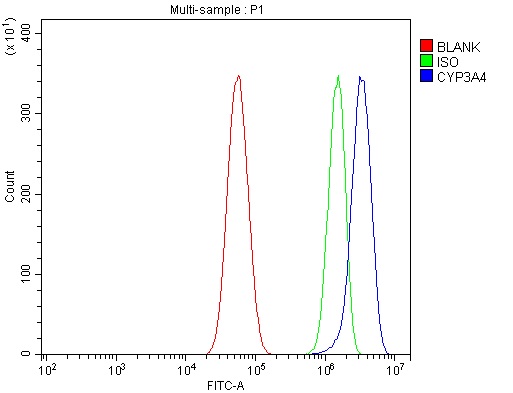 a00339 2 cyp3a4 primary antibodies fcm testing 3