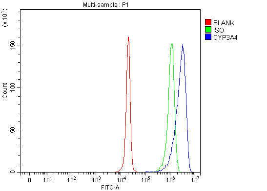  Flow Cytometry analysis of HepG2 cells using anti-Cytochrome P450 3A4/CYP3A4 antibody (A00339-3)