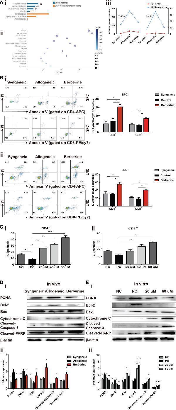 a00344 2 fimmu 12 616074 g005