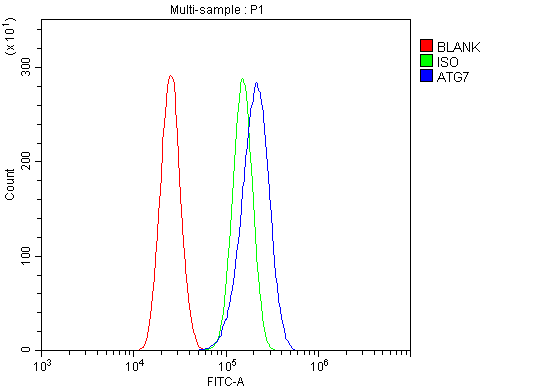 a00346 4 atg7 primary antibodies fcm testing 2