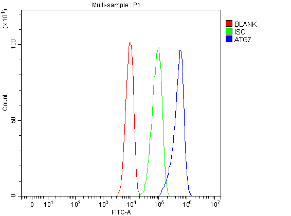a00346 atg7 primary antibodies fcm testing 1